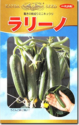 Amazon.co.jp: キュウリ 胡瓜 種子 ラリーノ ミニきゅうり (Green 10粒